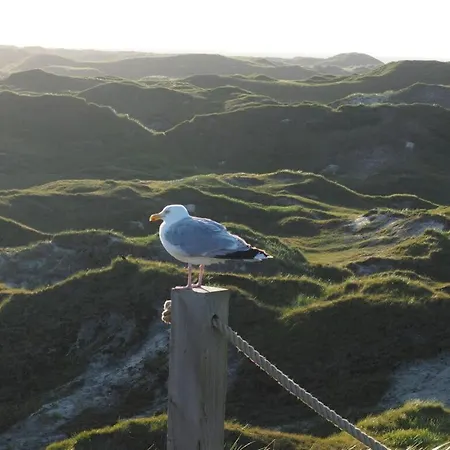 8 In Het Huis Meerloft Norderney